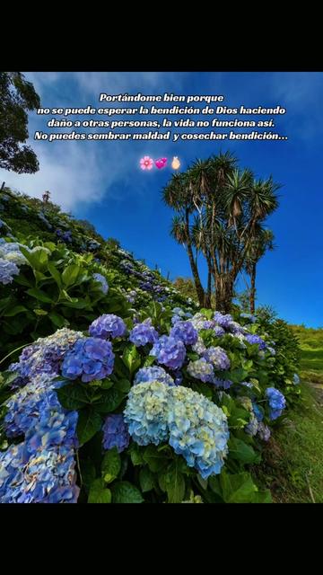 @🎀🌸Aless🌸🎀