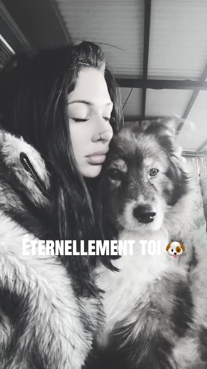@Fox_dy