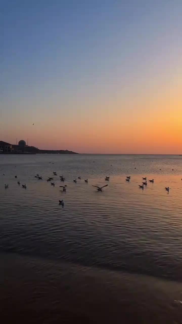 @valentinabadan5