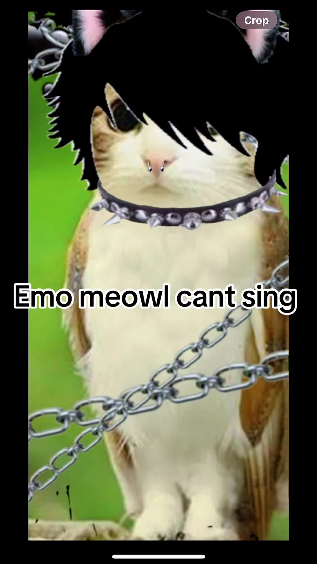 @Any meme