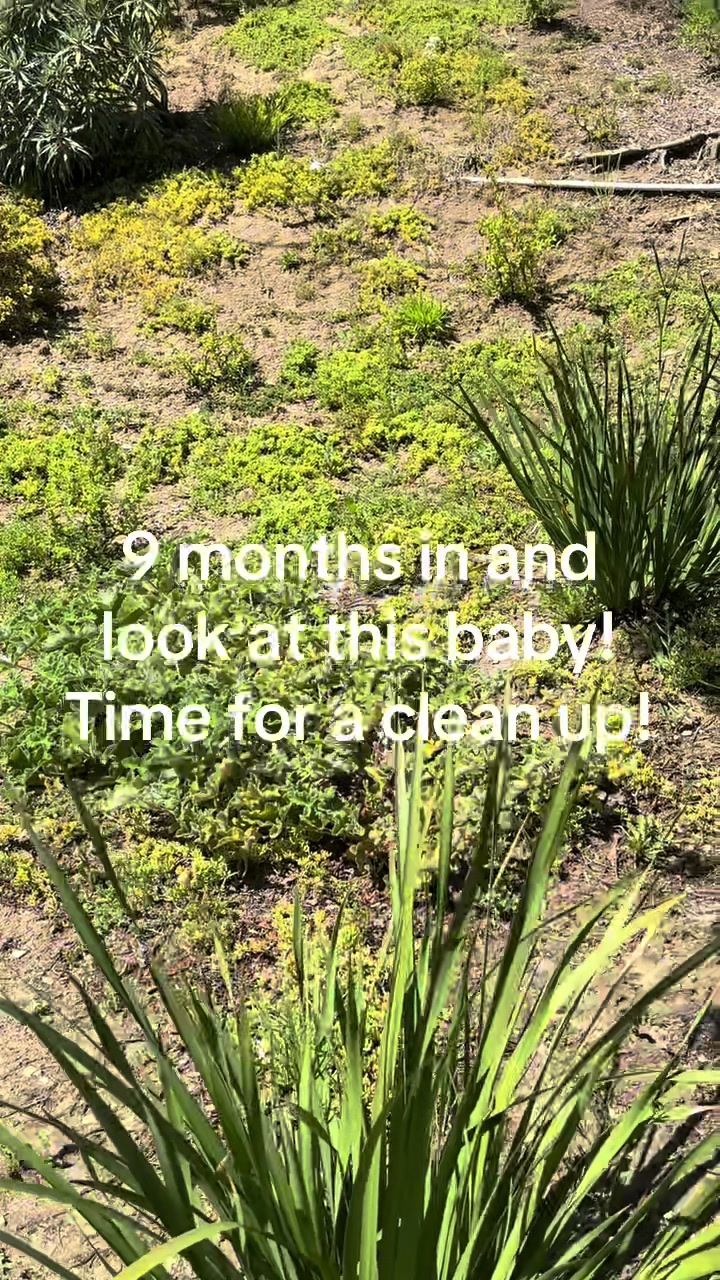 @firmlyplanteddesigns
