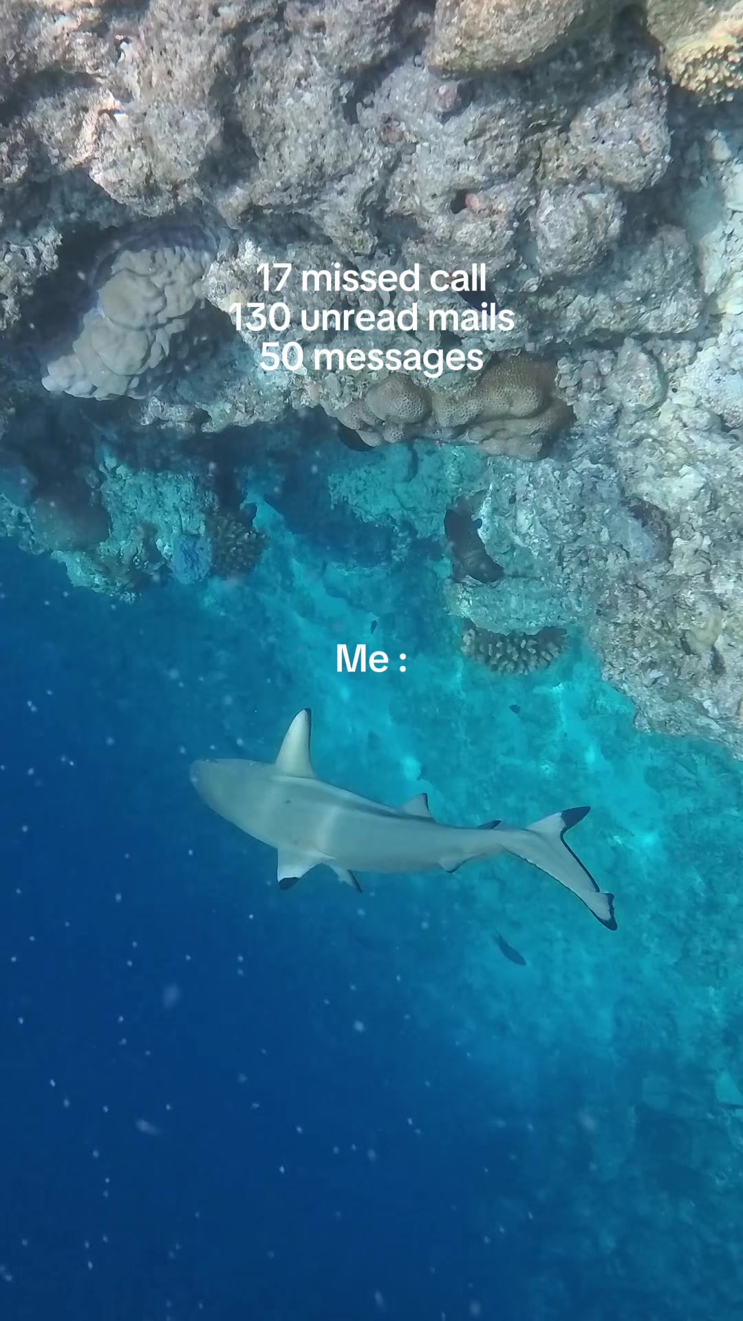 @Julia