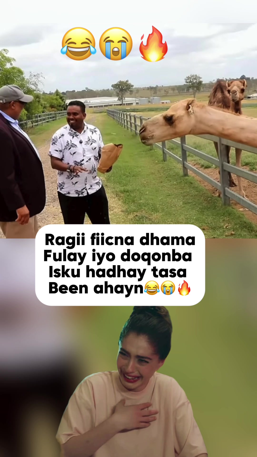 @โ
๐๐๐๐๐๐๐โ
๐