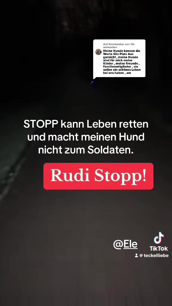 @Ichschützekinderundtiere