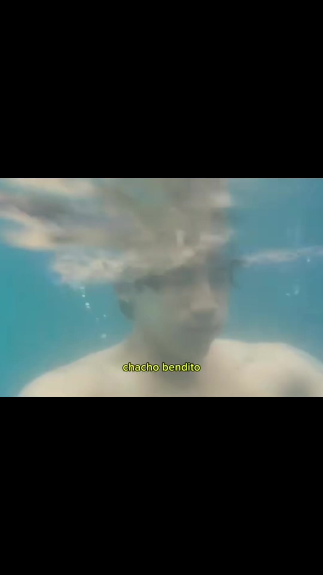 @Tolvid 🐙