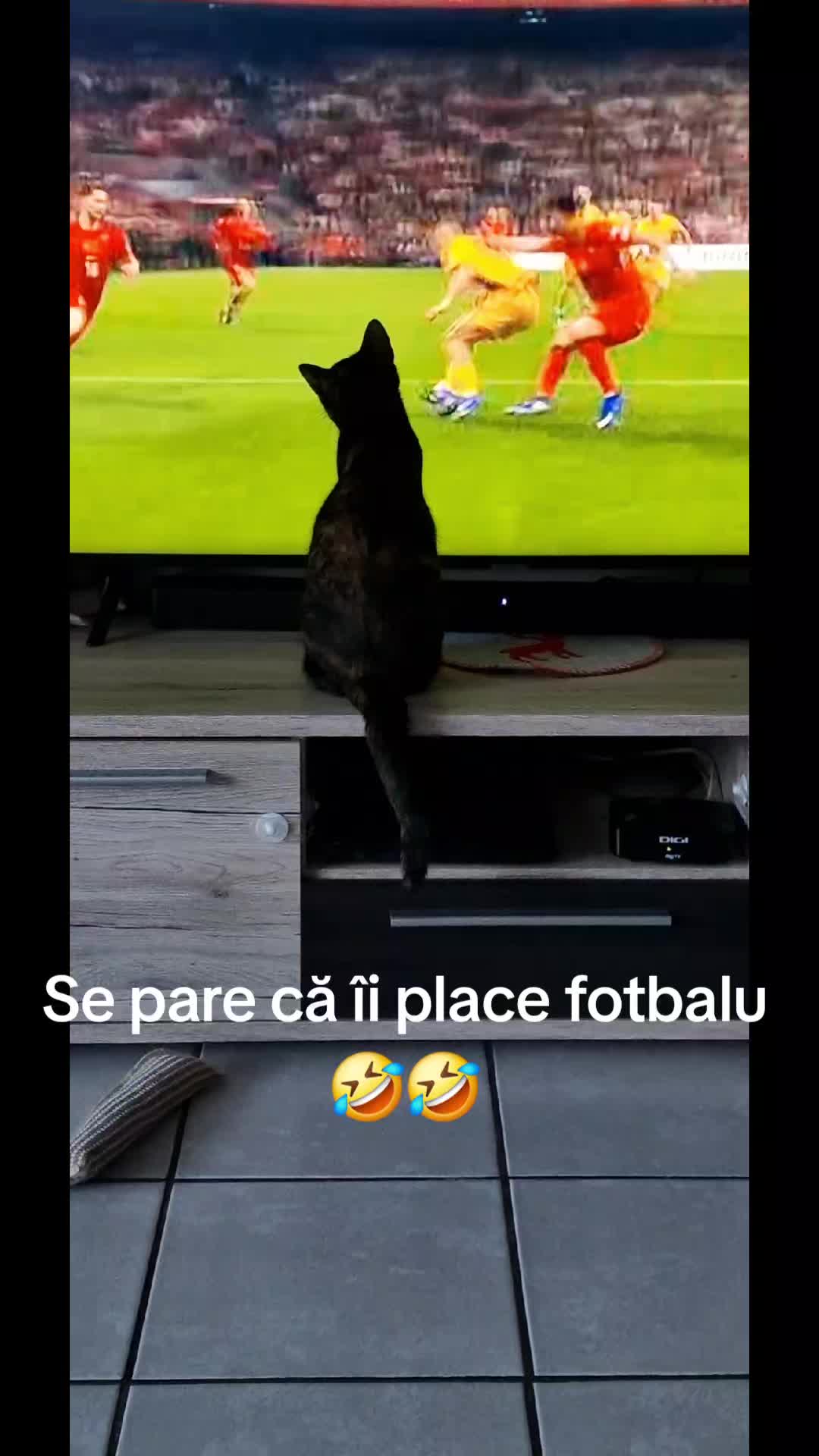 @myoaramicu
