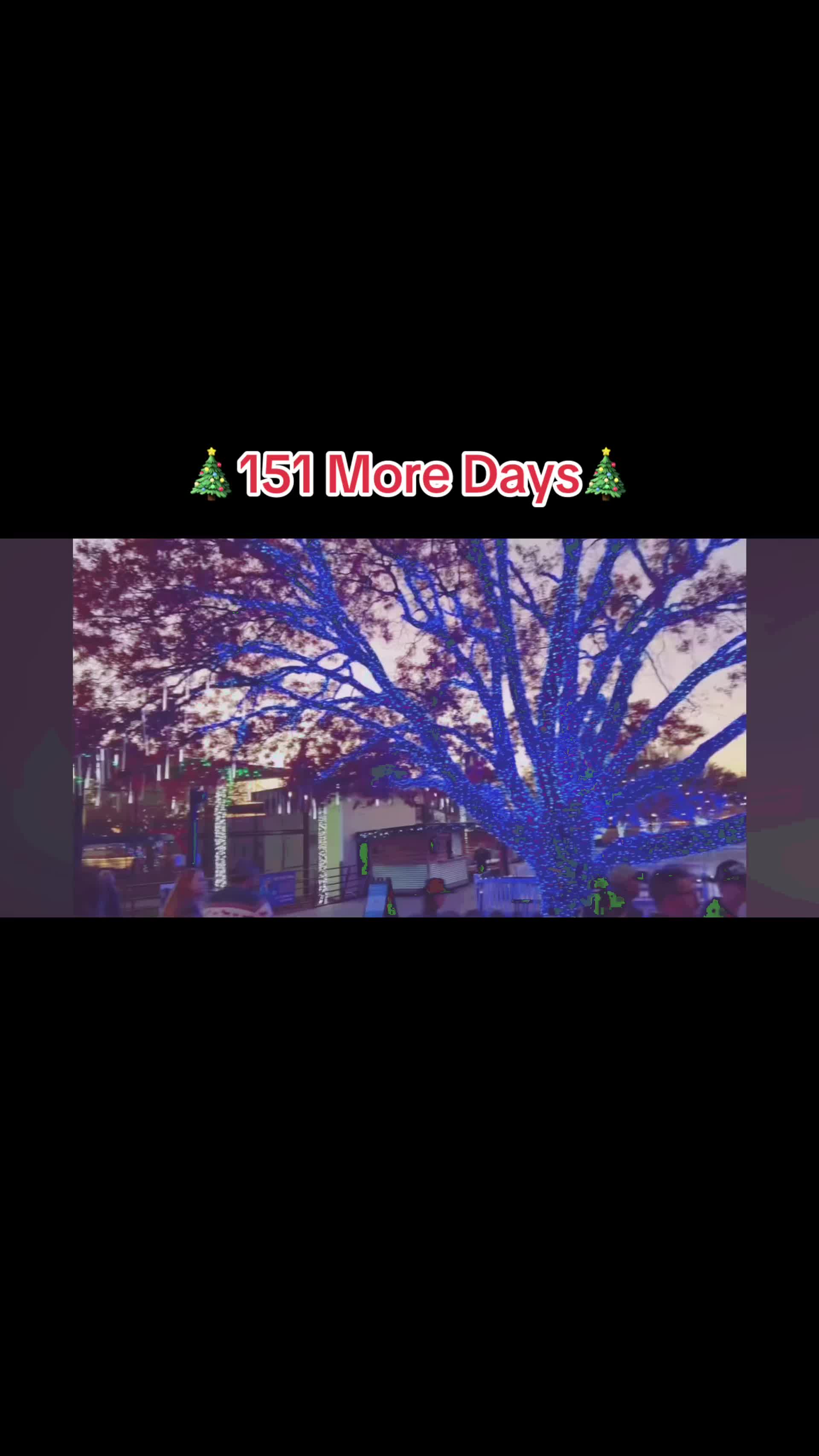 @christmas.tree65