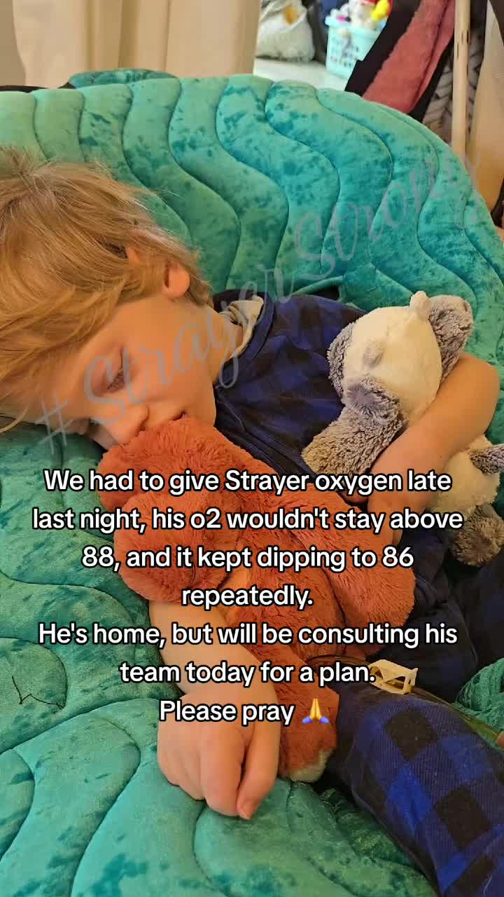 @StrayerStrong & His Mama