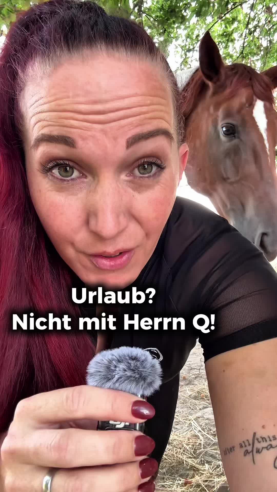 @Christina Braunecker-Lang