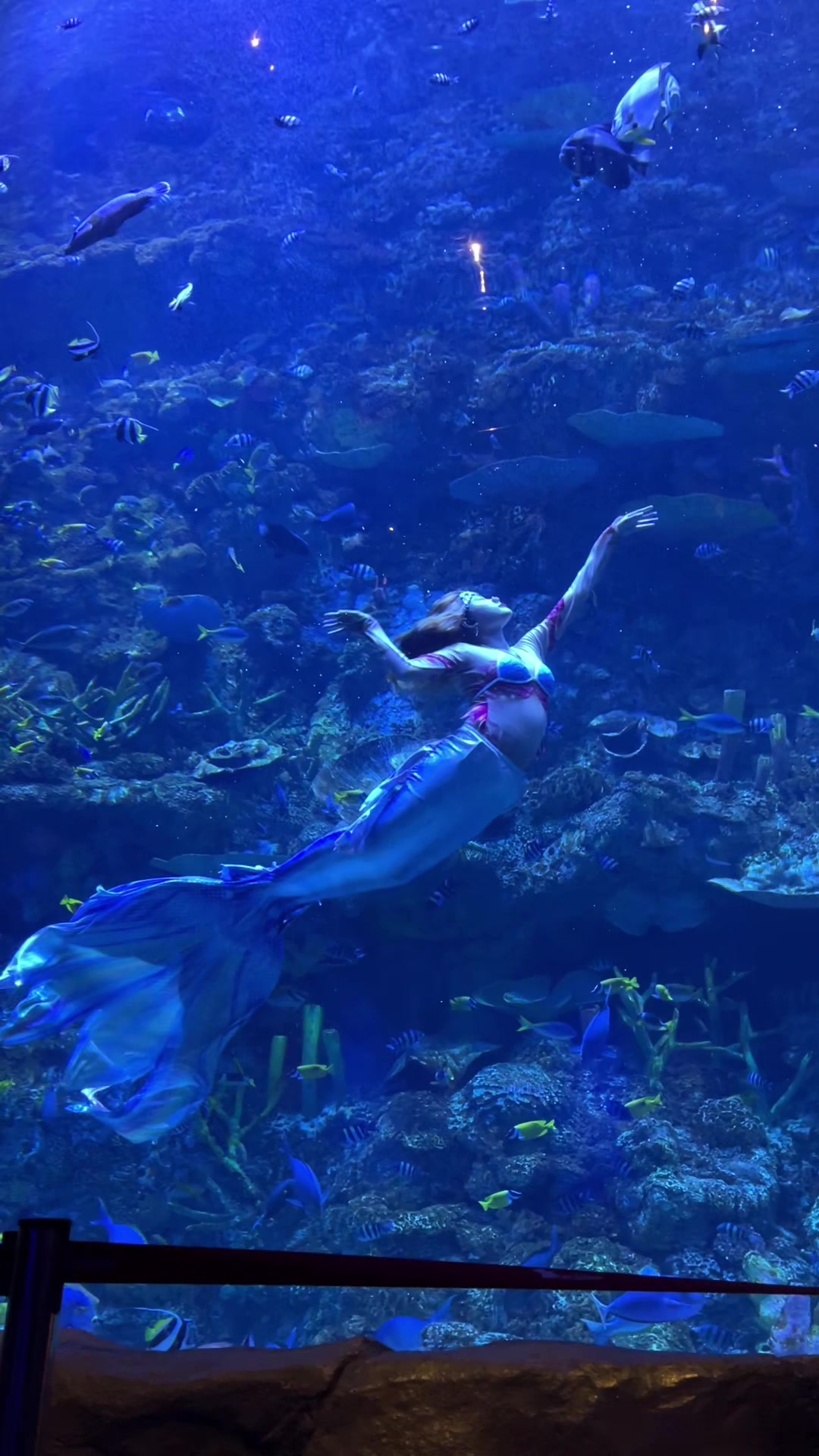 @Mermaid Cryztal