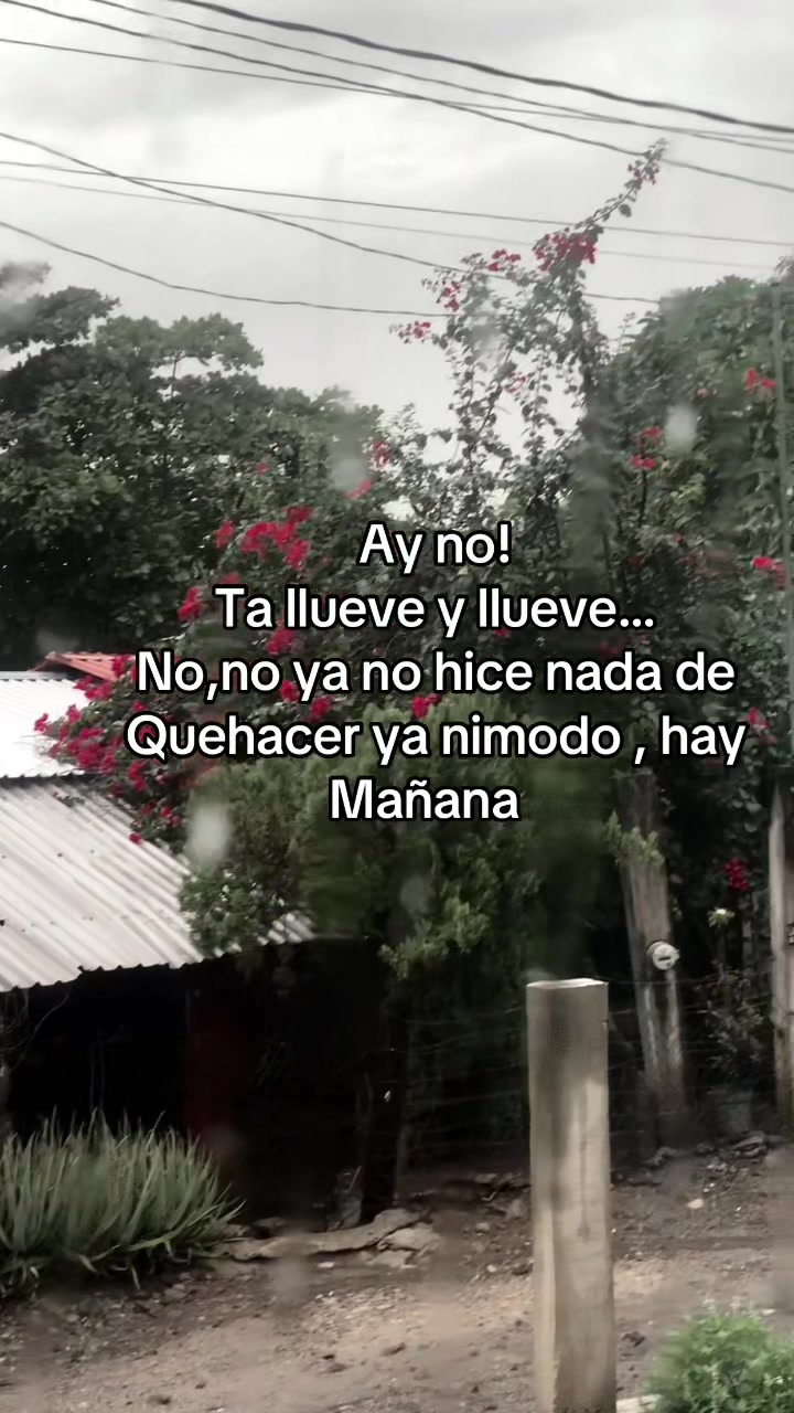 @rosapedraza48