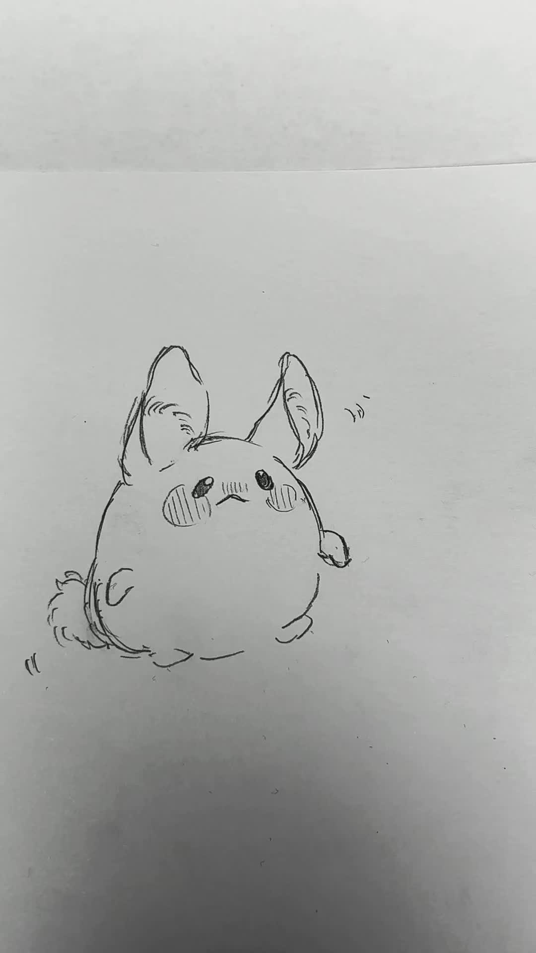 @ぽんぽこりん