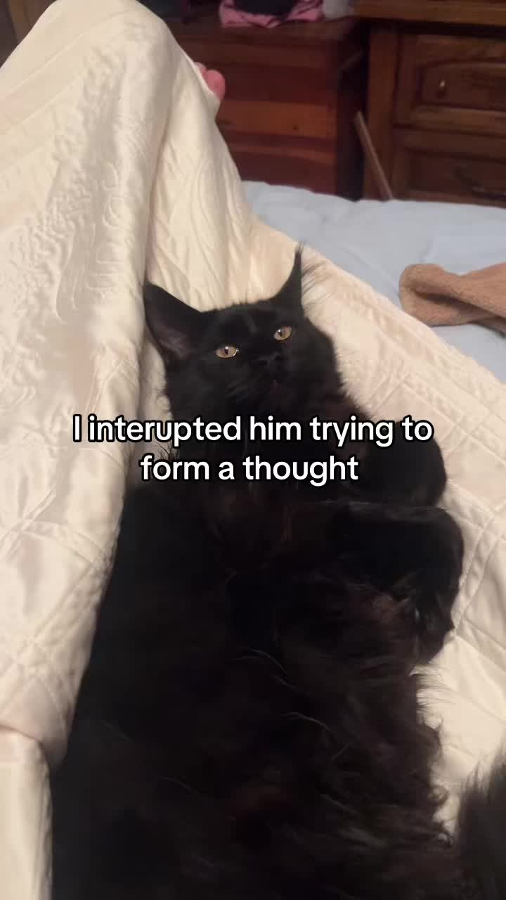 @puddingoblin