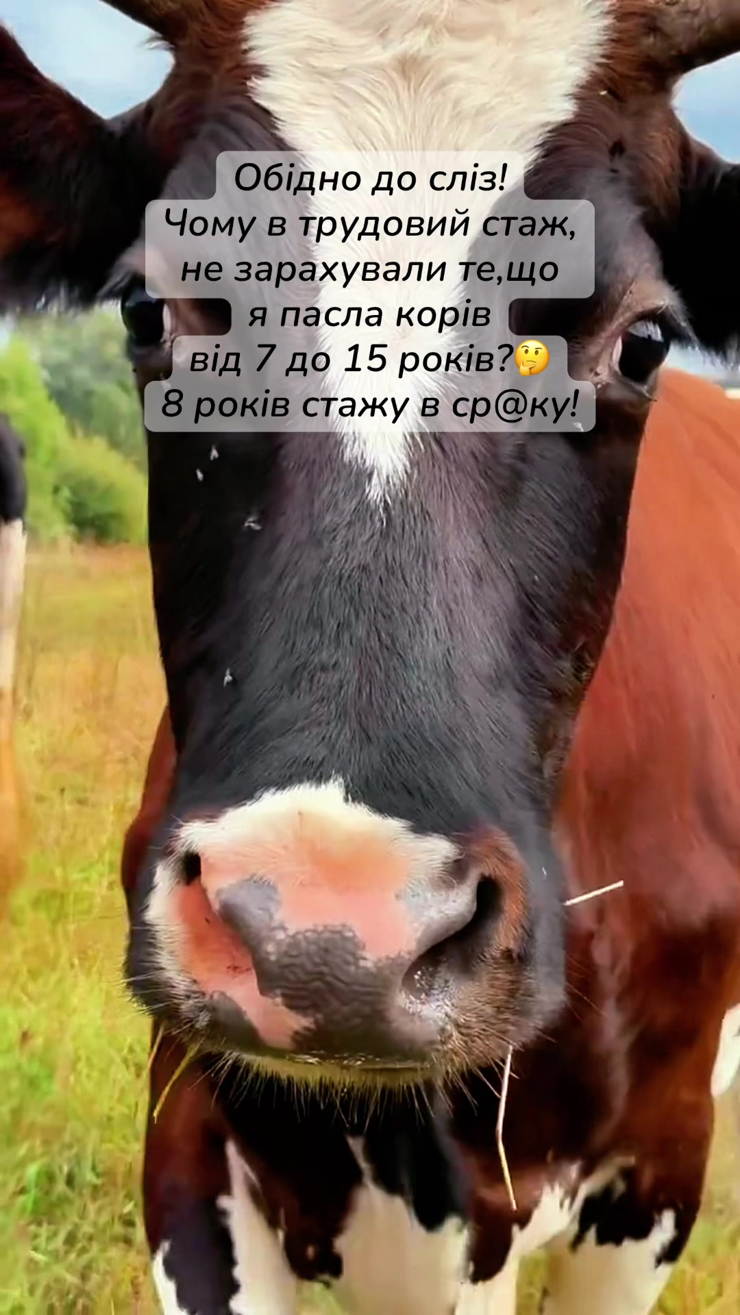 @Ravkova
