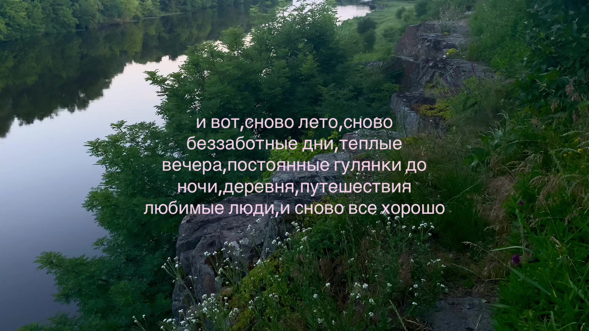 @киса 🐱