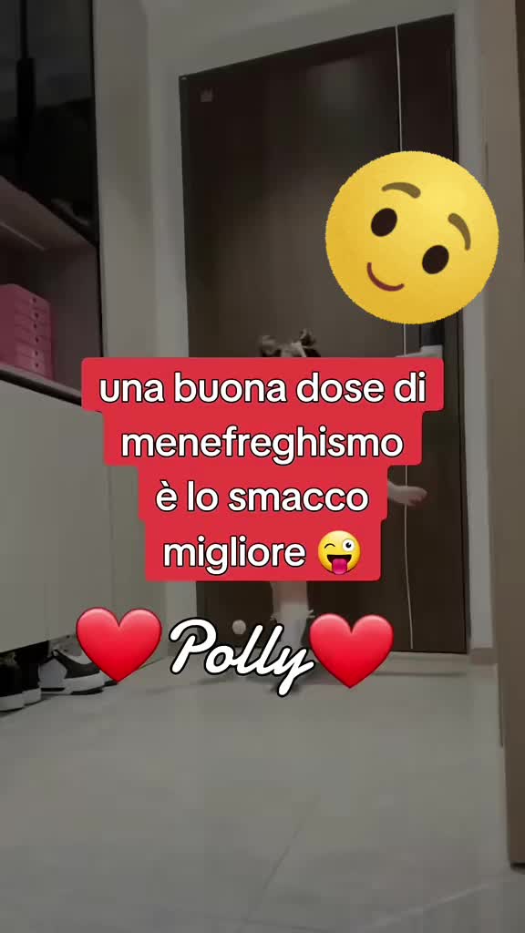 @&hearts;️ POLLY &hearts;️