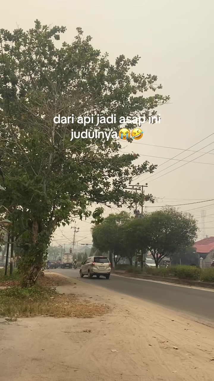 @syah🍥