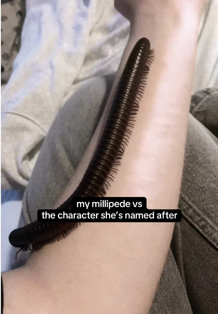 @🕷️Eliah&mdash;🐌