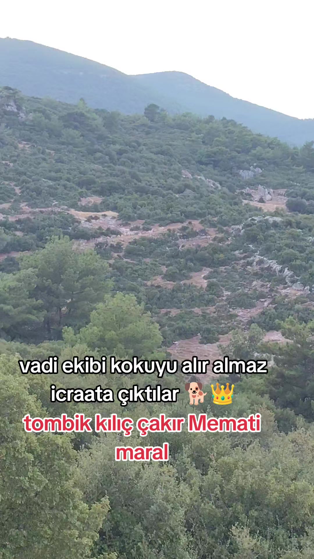 @PİSKO👉TOMBİK{45}