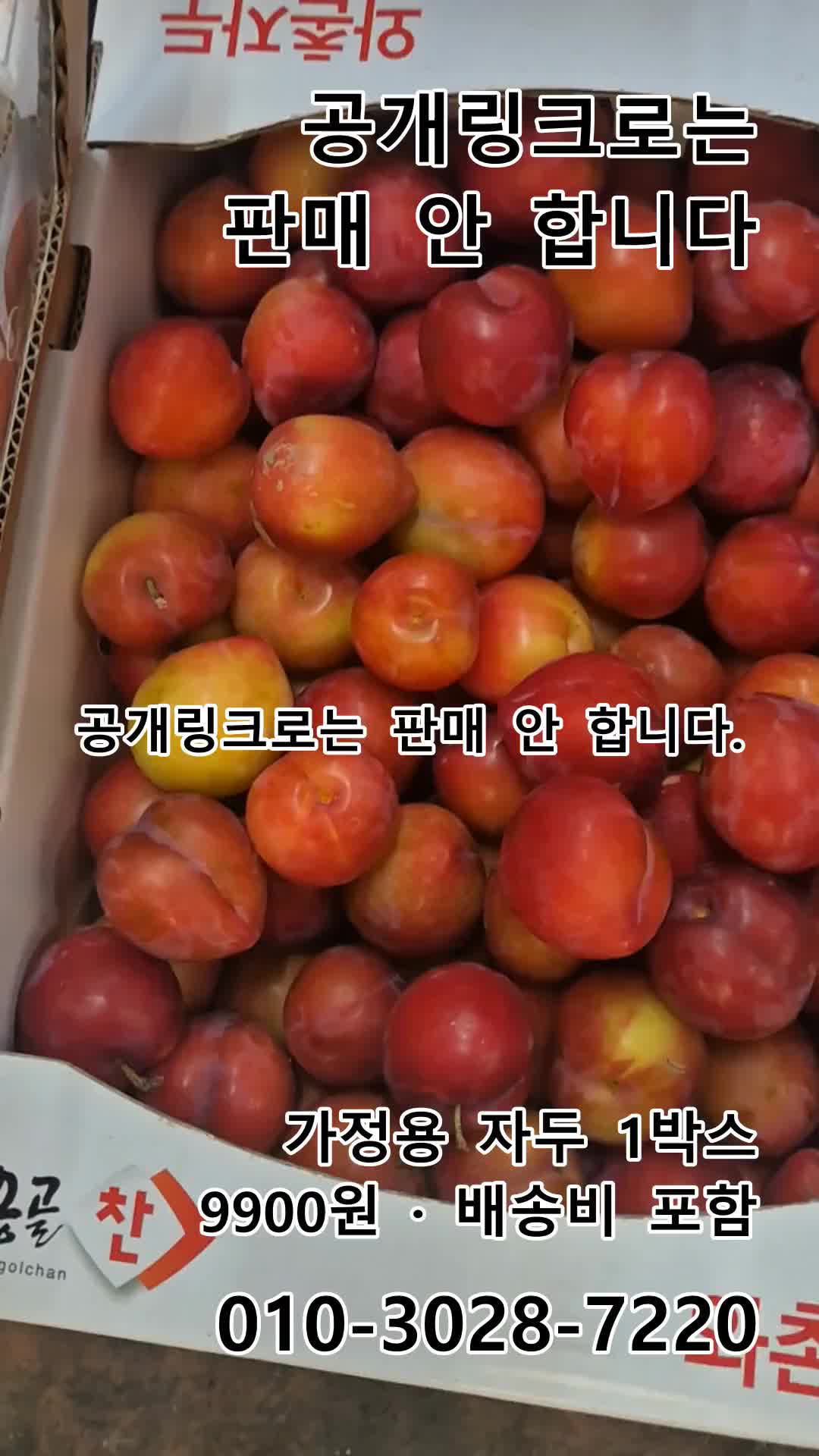 @새콤과일장터