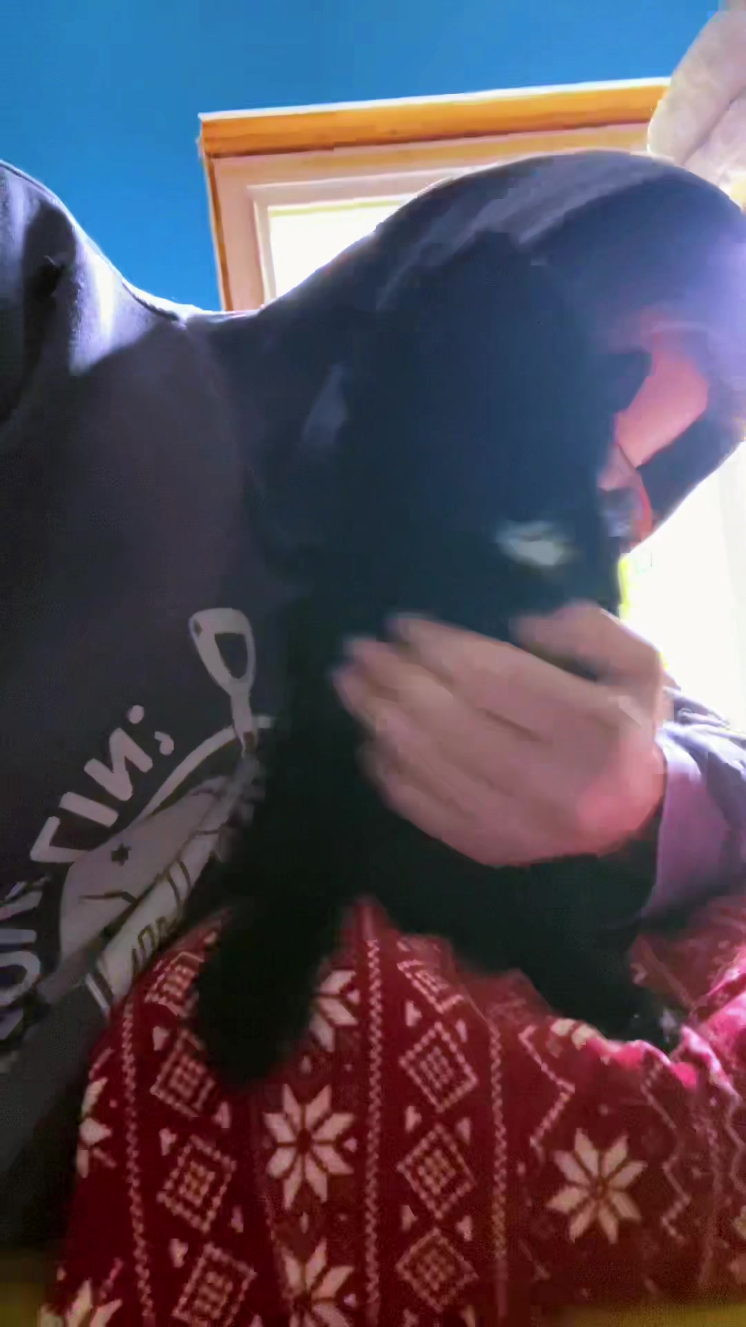 @Brad the CatDad 🐾
