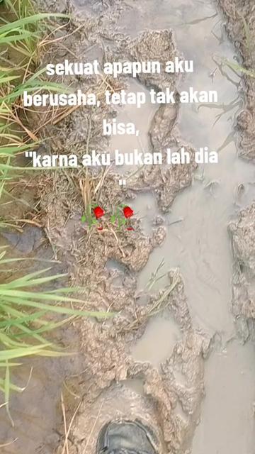 @RATu ettut's