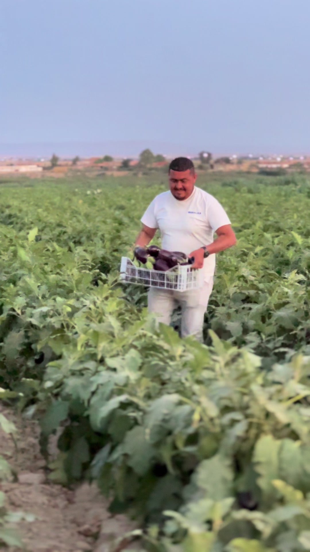 @Madani Khariji 🇩🇿✅ 🚜🚜 27