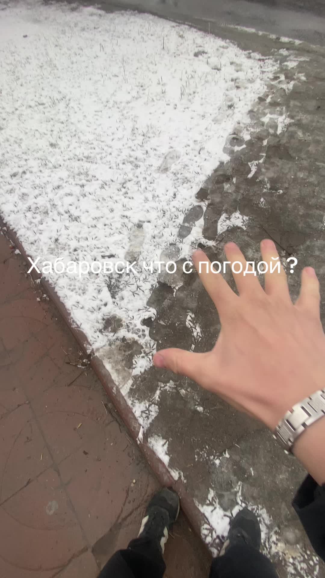 @Димас
