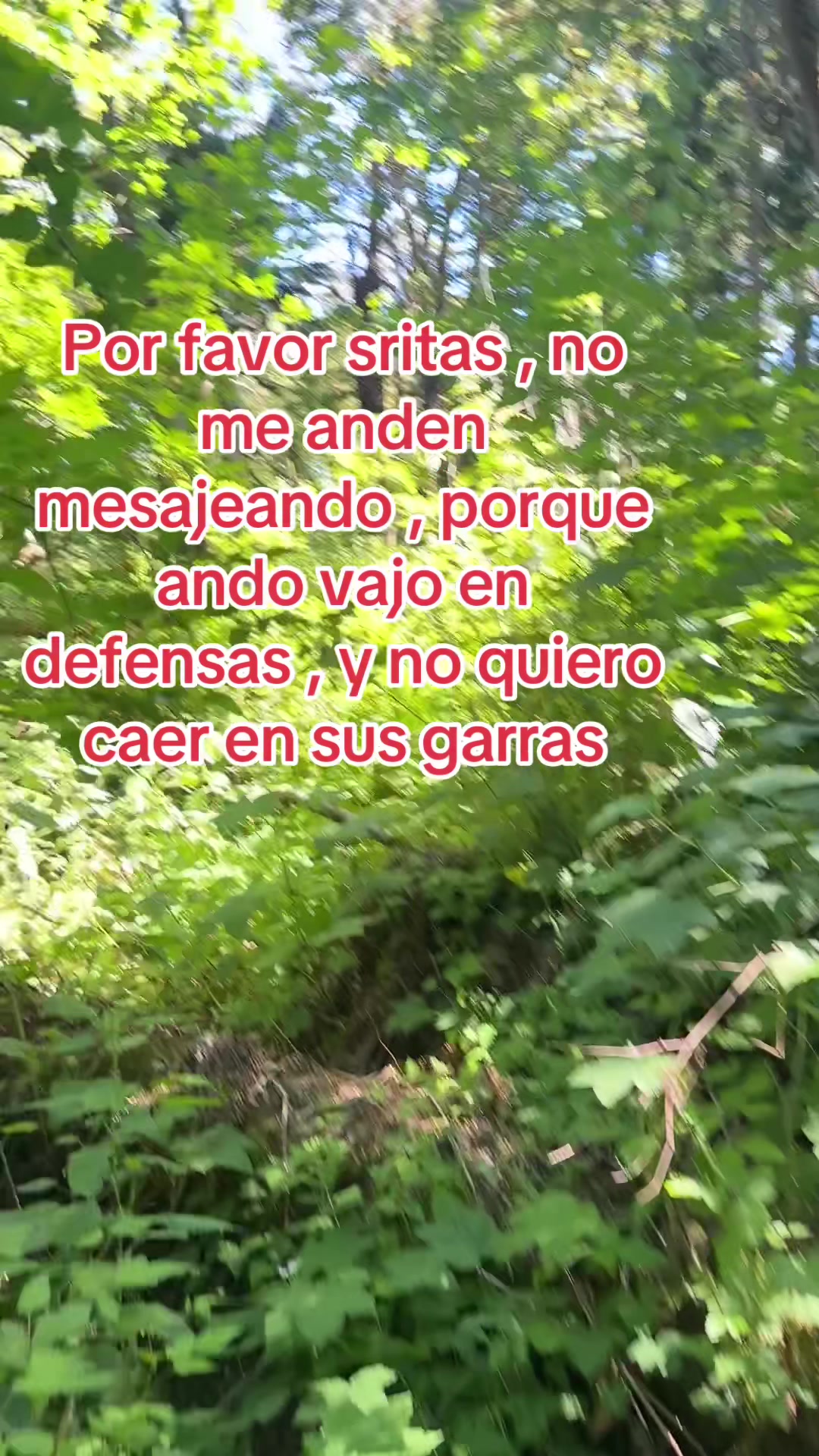 @Gatoflojoloko