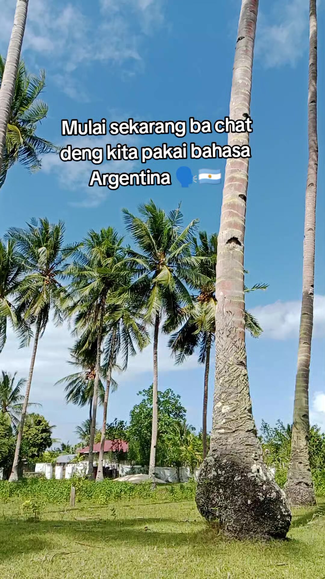 @Shopadi