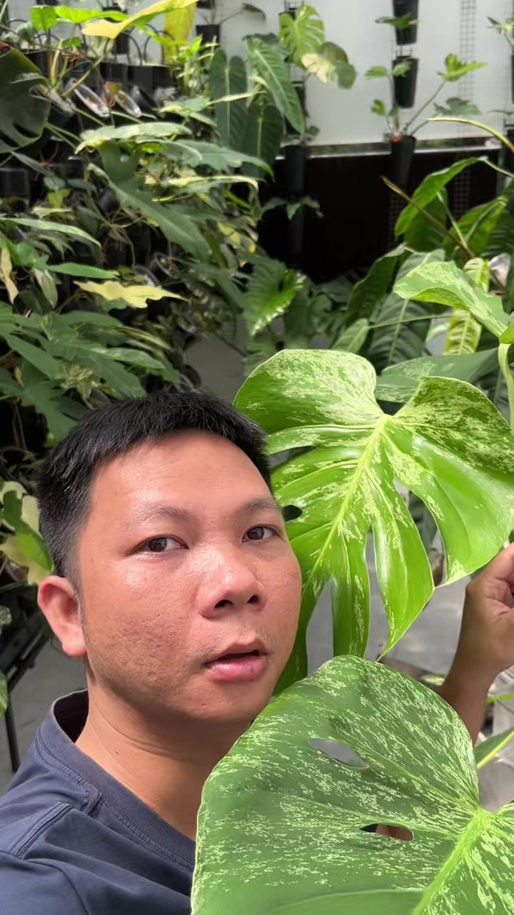@Huy Kiểng L&aacute;