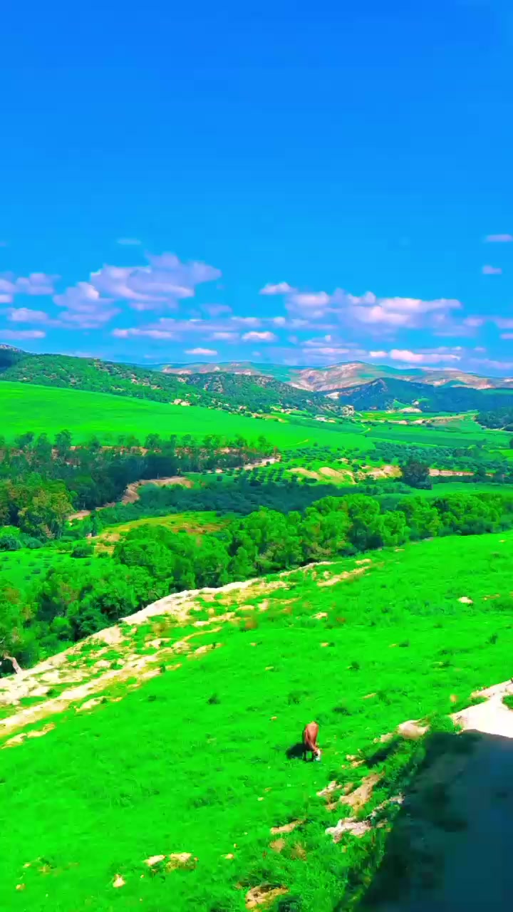 @نور سمى💗🇹🇳