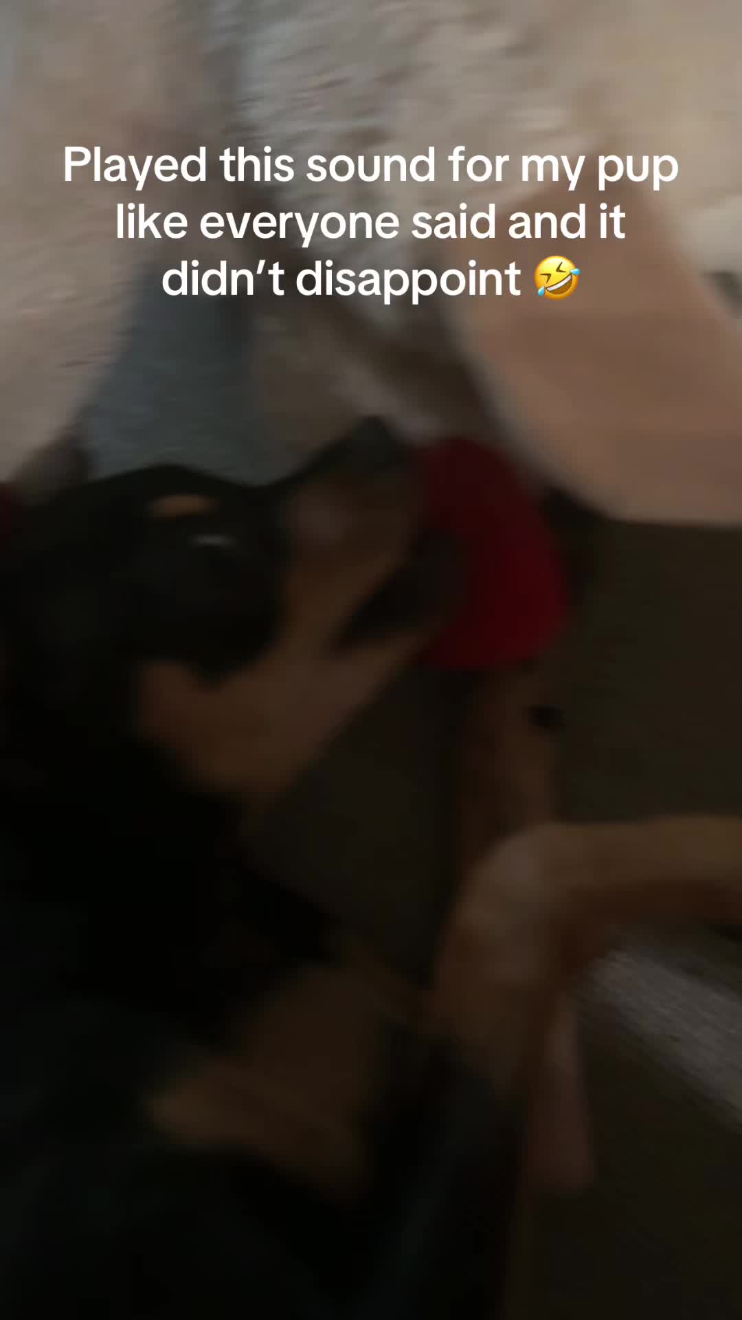 @Jaclyn