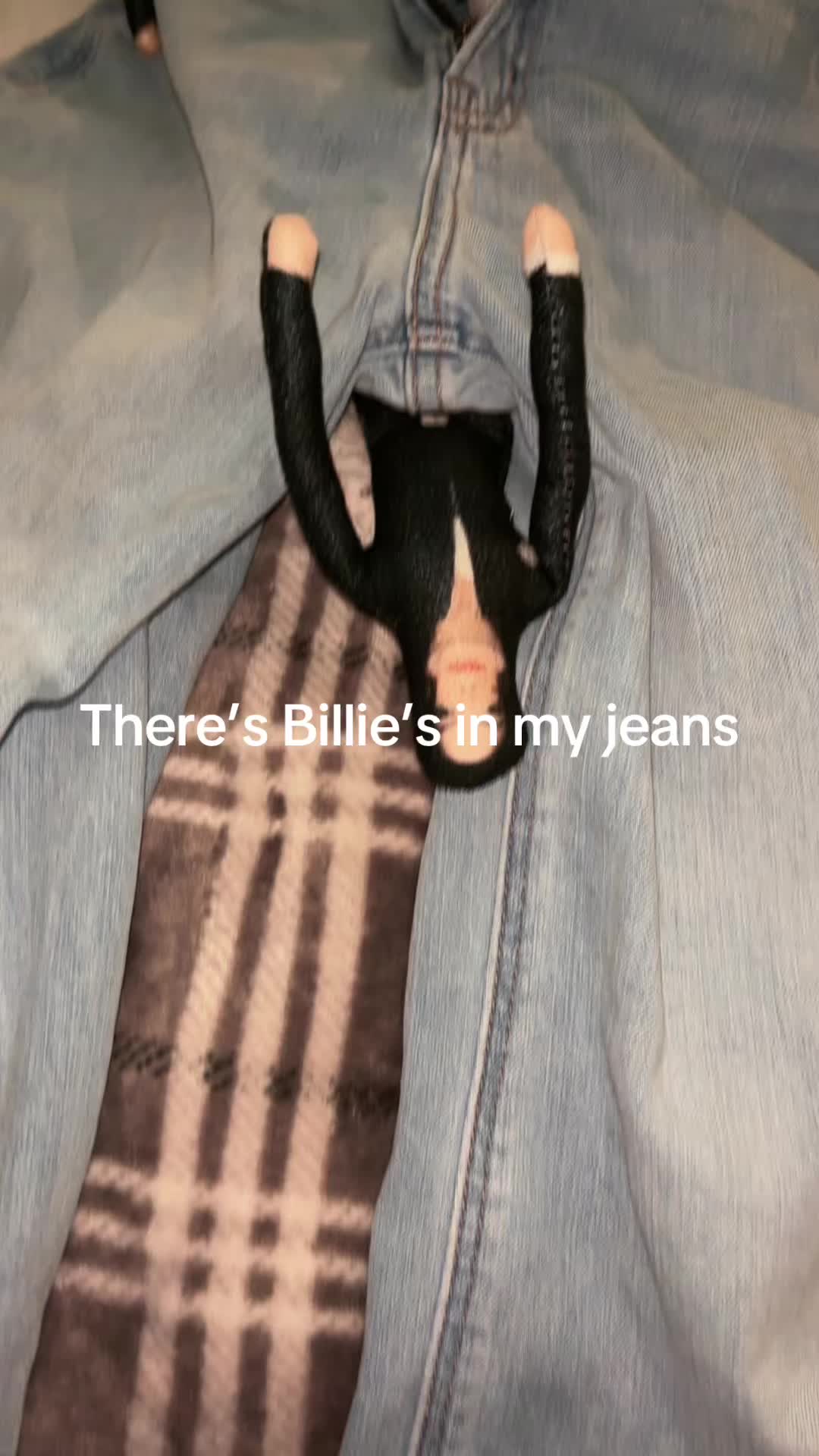 @Mini Michael
