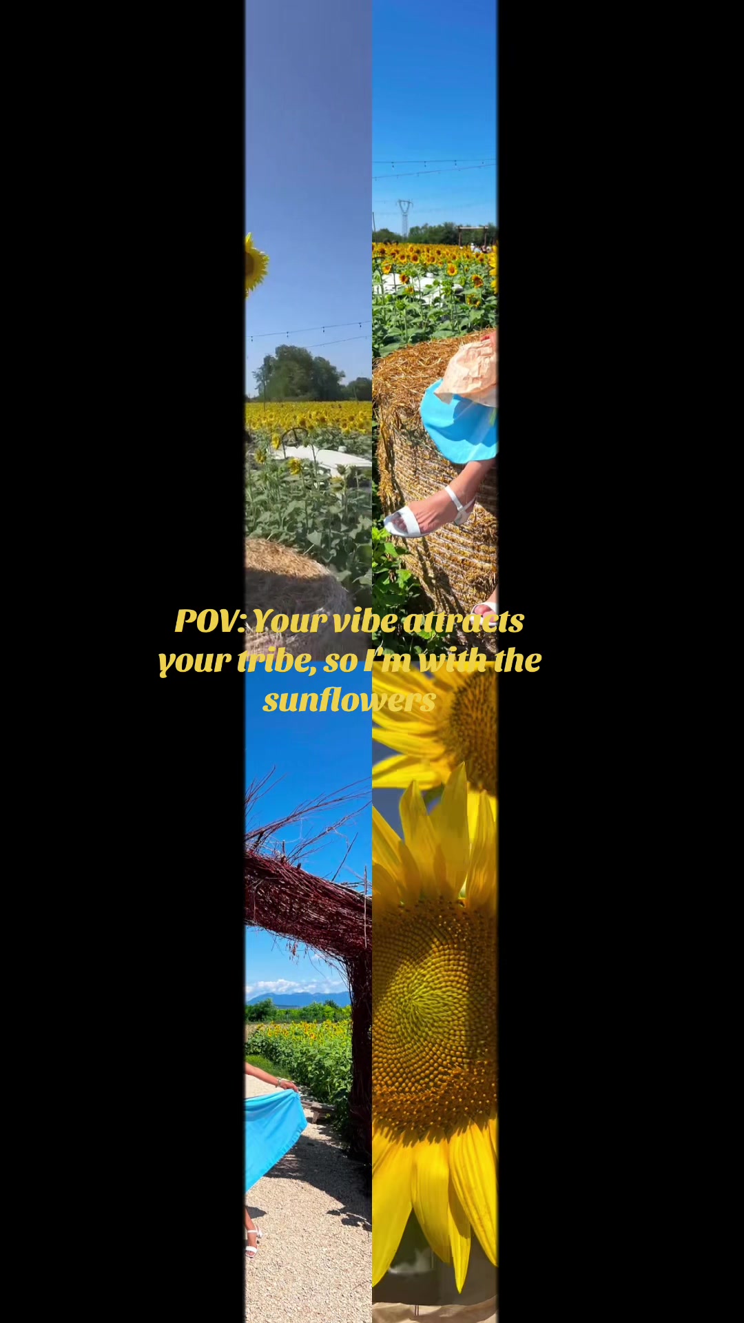 @caffellatte_101