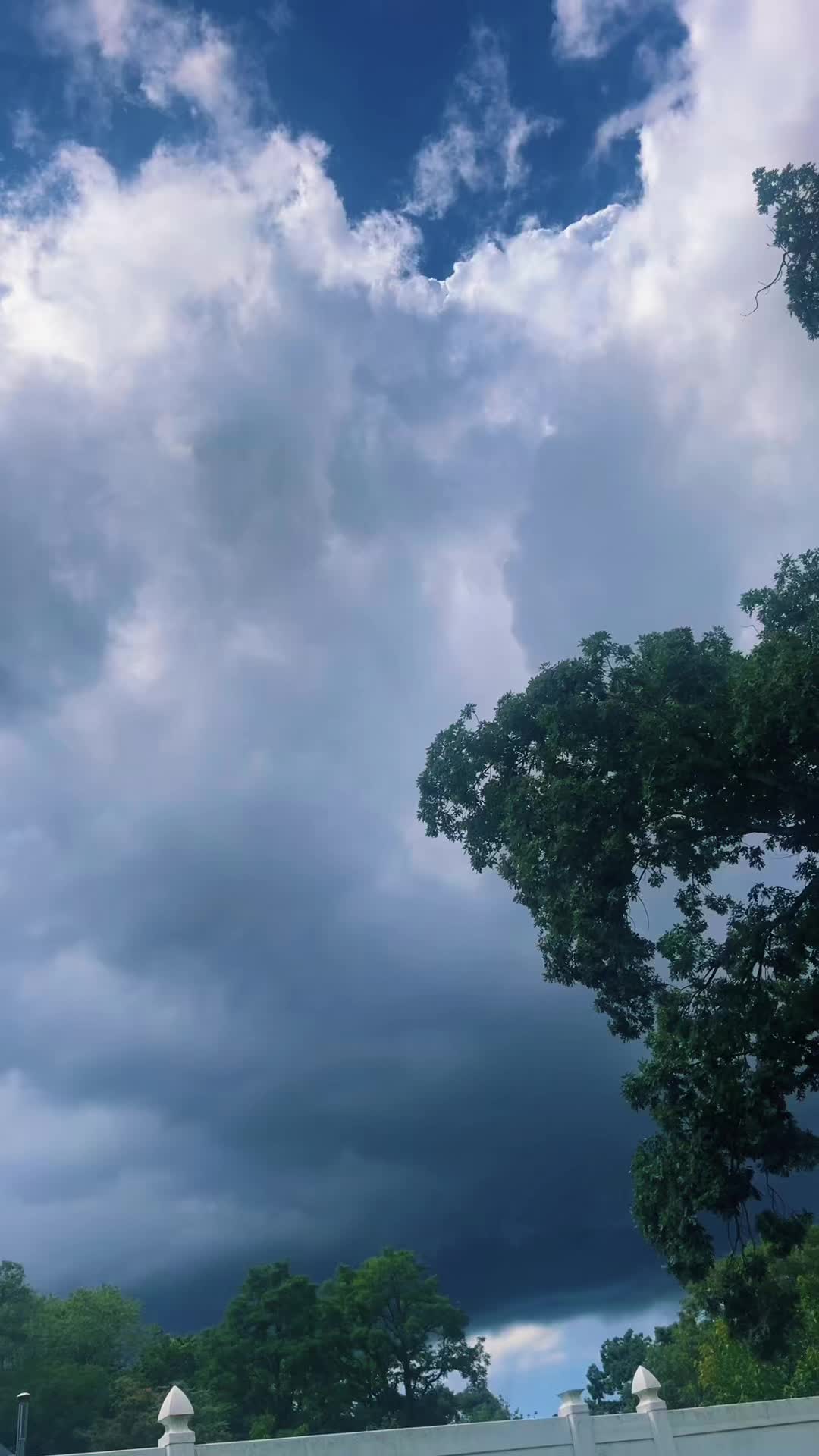 @chandana_nath2