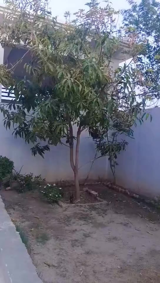 @✮⃝🦋𝑨𝒚𝒆𝒔𝒉𝒂 𝑹𝒂𝒏𝒊