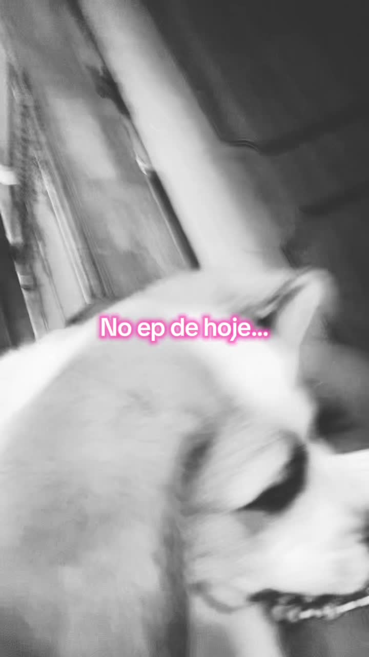 @𝒴𝒶𝓇𝒶💋