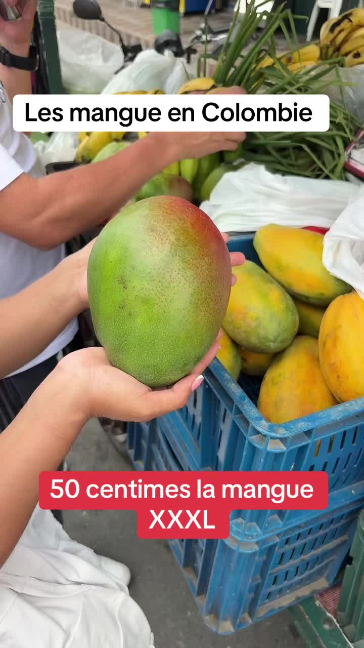 @🇫🇷GRINGO LOCO🇫🇷