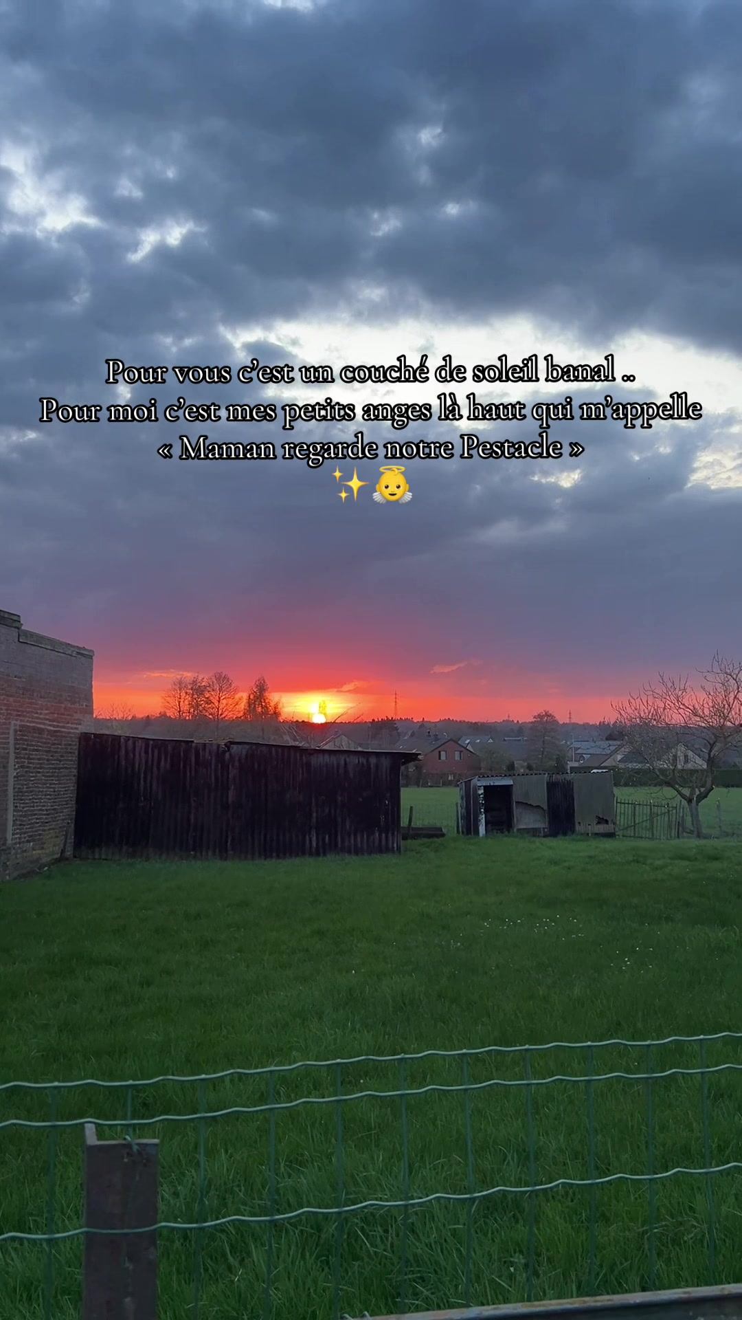 @🦋Mamange_Flora_Owen🌸