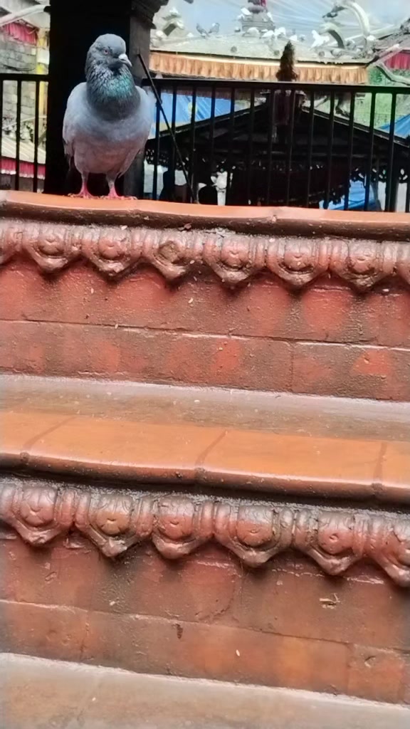 @♾️♾️♾️🔱🔱🪷🪷♾️♾️♾️