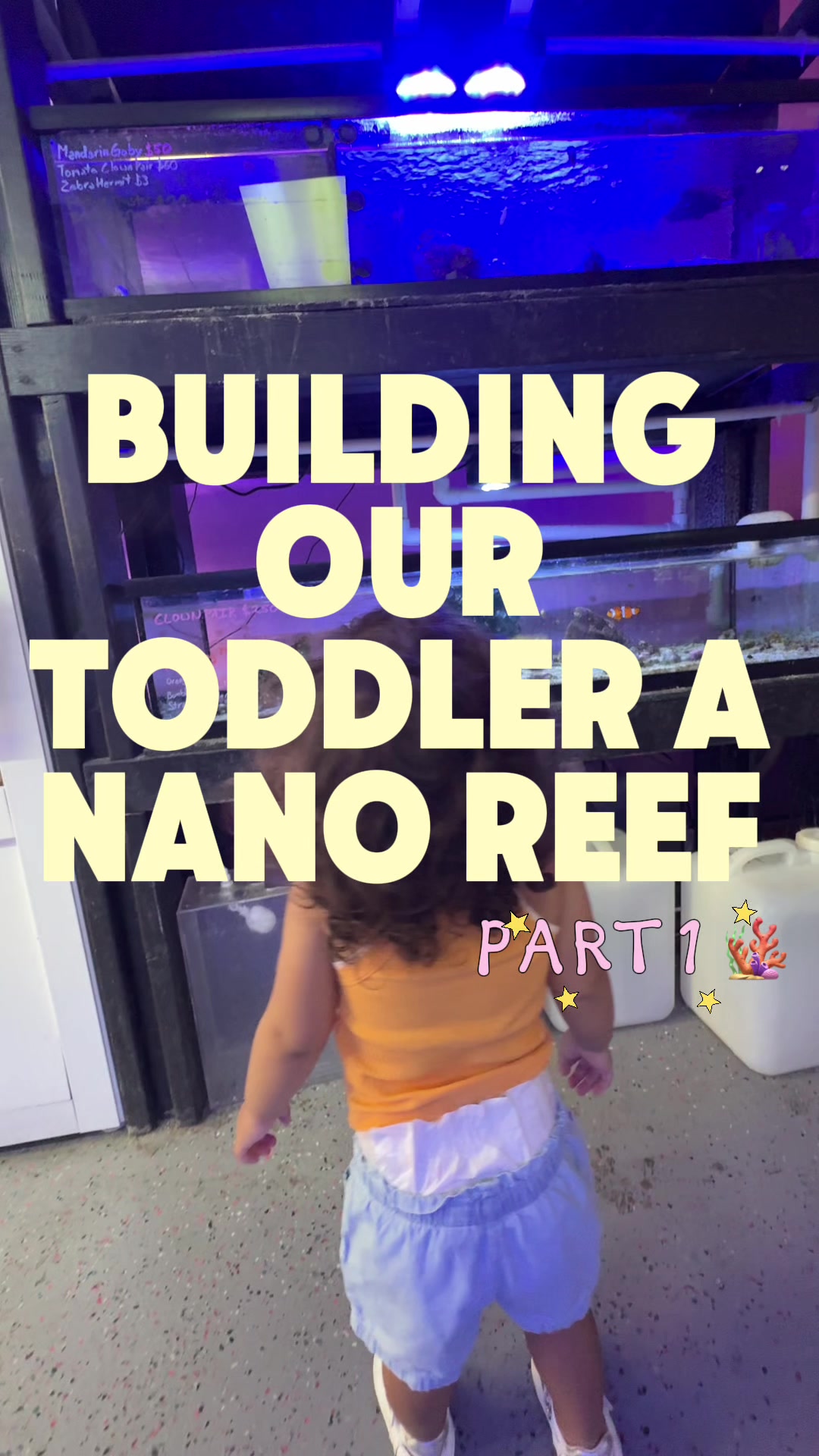 @Amanda | Toddler Girl Mom