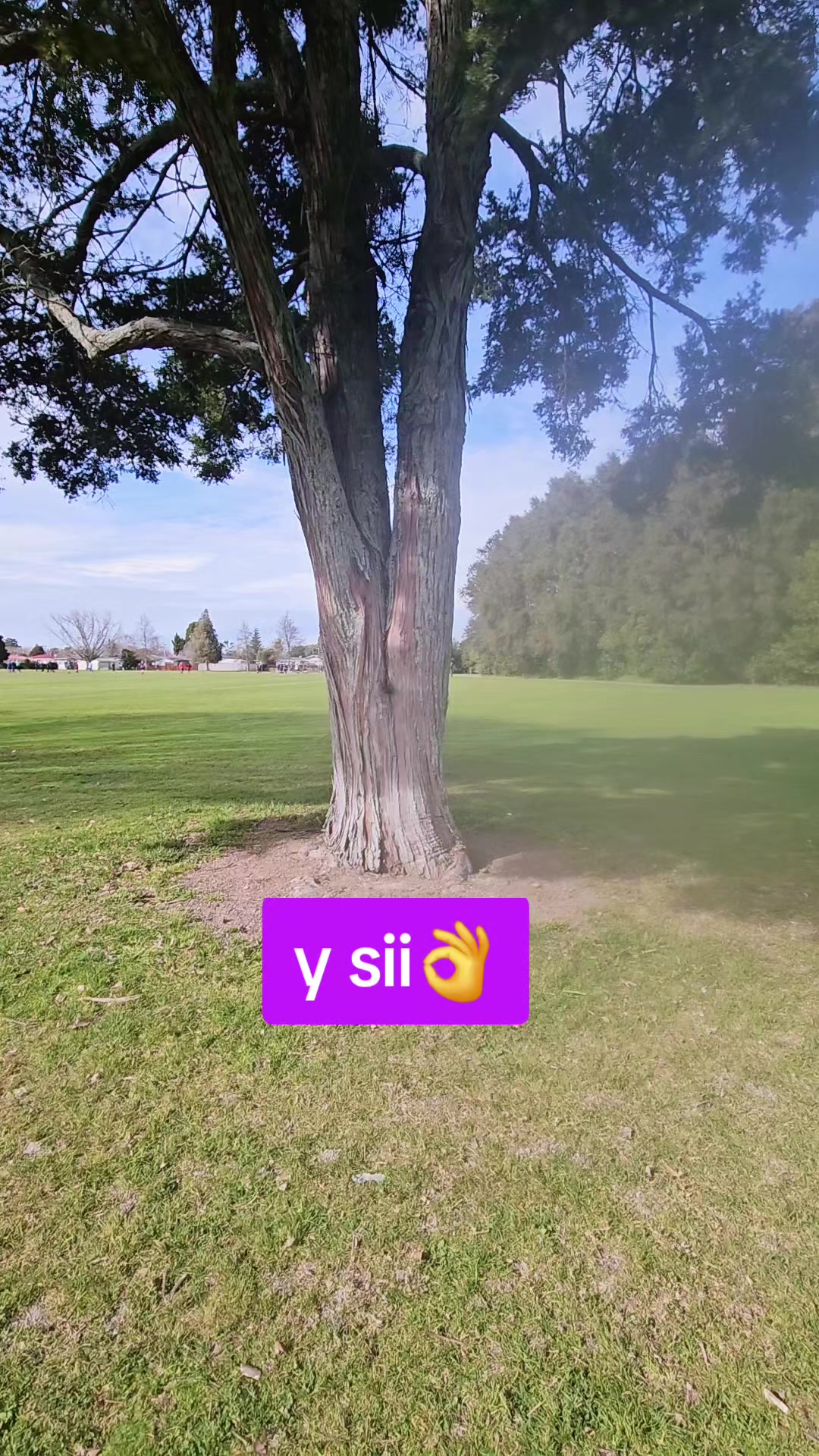 @mytrails1