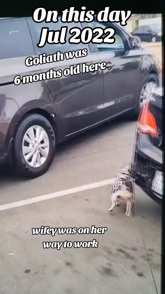 @Proudmomof2boys13