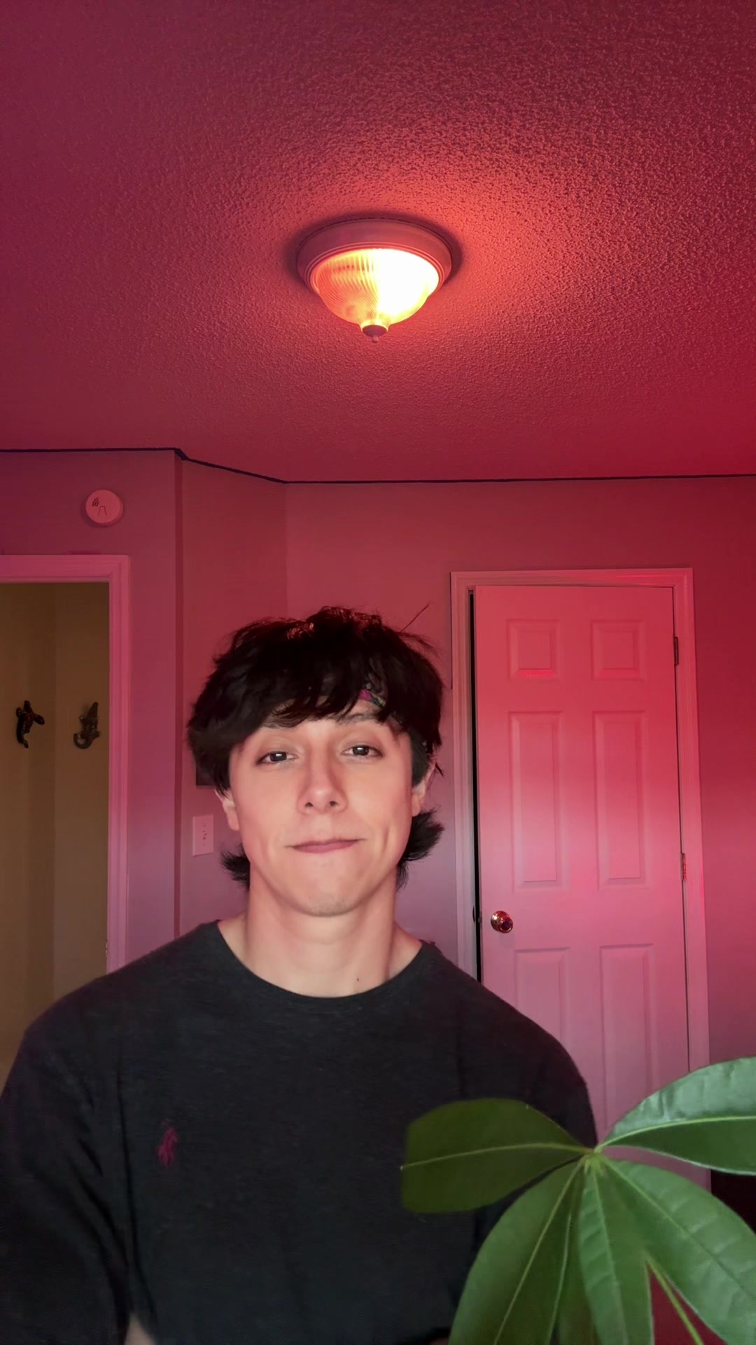 @nėwt