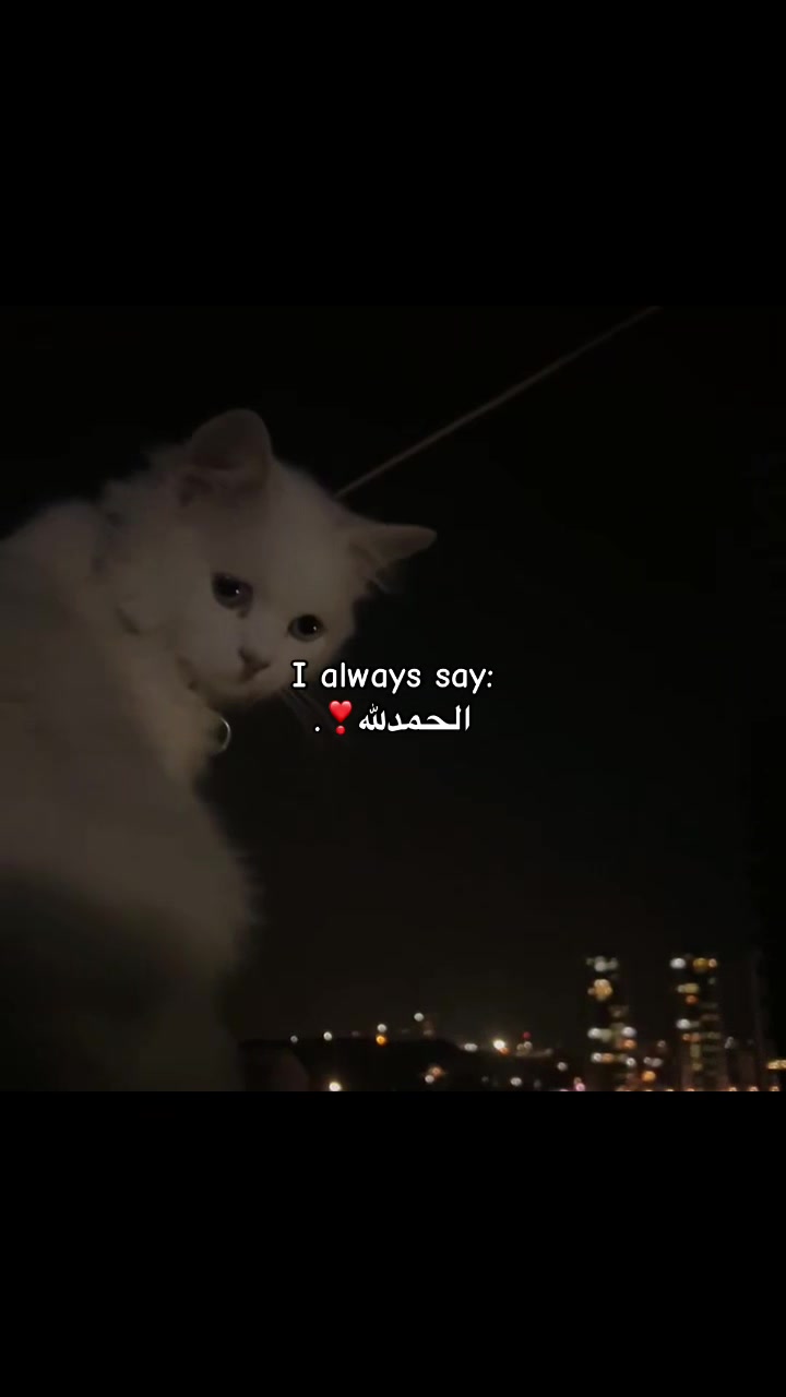 @𝓢👸🏻: