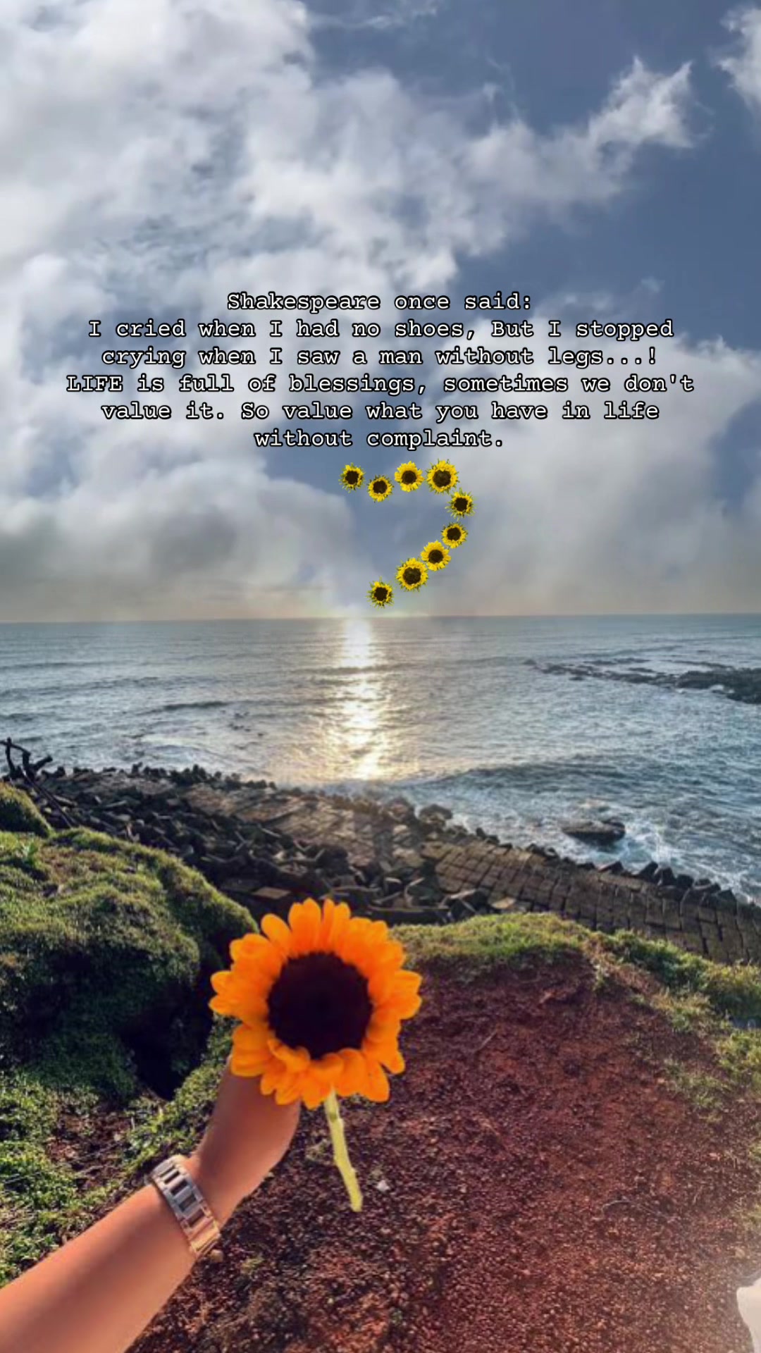 @🌻💚🐆🐿️SunFlowerLuvR🖤🥀🤘🌻