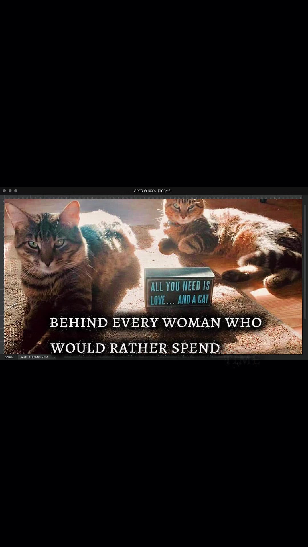 @Taelene Swihart