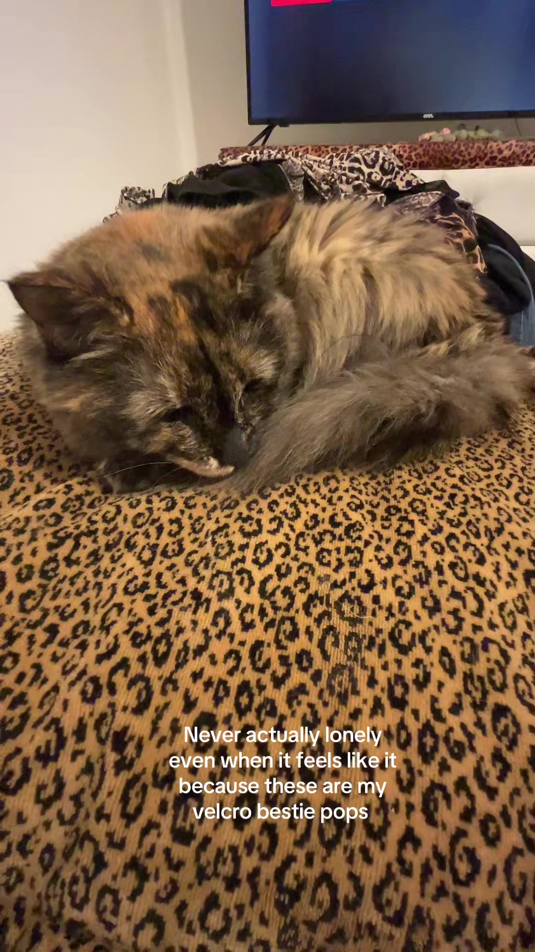 @AngelBaby