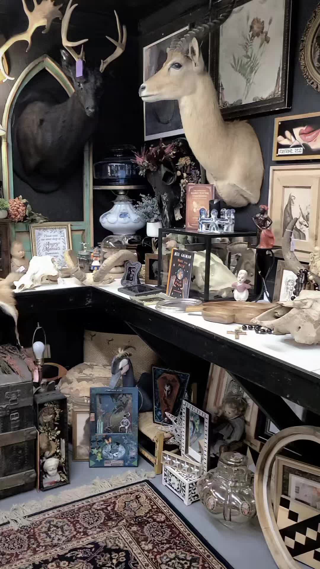 @blackorchidcuriosities